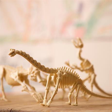 Набор для раскопок 4M Скелет тираннозавра (00-03221) - фото 6