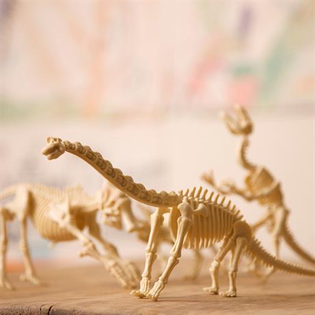Набор для раскопок 4M Скелет стегозавра (00-03229) - фото 8