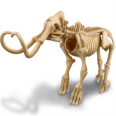 Набір для розкопок 4M Скелет мамонта (00-03236) - фото 3