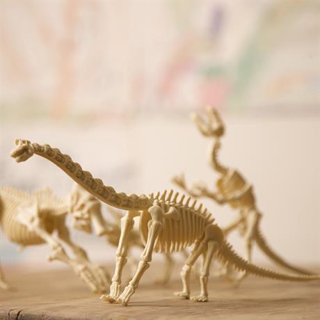 Набор для раскопок 4M Скелет брахиозавра (00-03237) - фото 5