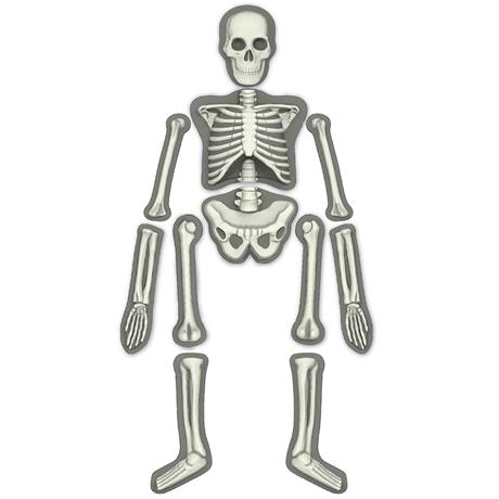 Набір для досліджень 4M Скелет людини (00-03375) - фото 2
