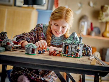 Конструктор LEGO Harry Potter Домик Хагрида Неожиданные гости 896 деталей (76428) - фото 4