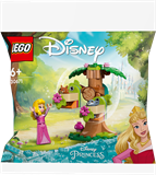 Конструктор LEGO Disney Princess Лісовий ігровий майданчик Аврори 60 деталей (30671)