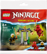 Конструктор LEGO NINJAGO Битва за Храм Кая і Раптона 47 деталей (30650)