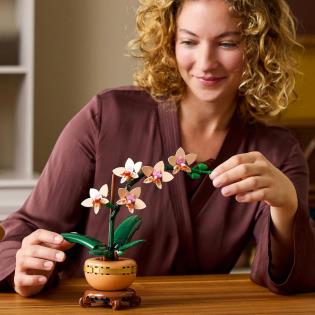 Конструктор LEGO Botanicals Міні орхідея 274 деталі (10343)