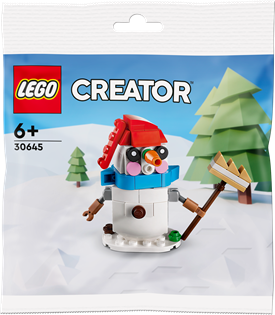 Конструктор LEGO Creator Снеговик 78 деталей (30645)