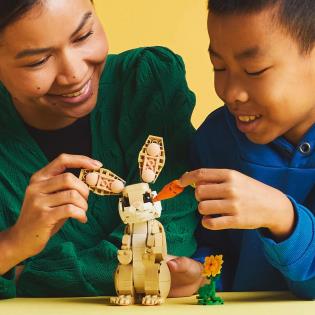 Конструктор LEGO Creator Чарівне кроленя 326 деталей (31162)