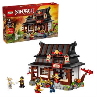 Конструктор LEGO Ninjago Кузнец «Четыре оружия». 15-я годовщина 1259 Деталей  ( 71858 )