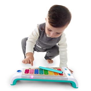Музыкальная игрушка Baby Einstein Magic Touch Ксилофон (800858)