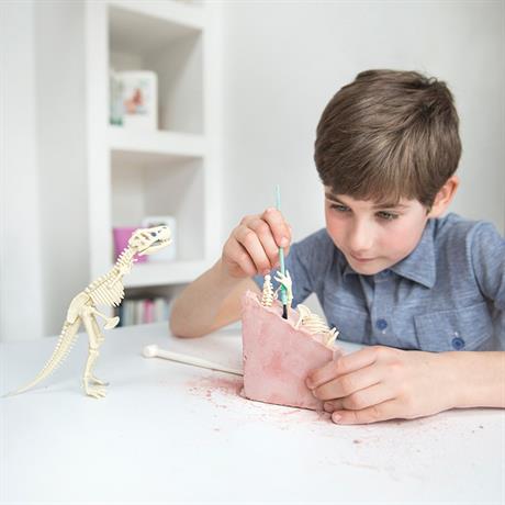 Набір для розкопок 4M Скелет стегозавра (00-03229) - фото 11