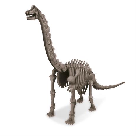 Набор для раскопок 4M Скелет брахиозавра (00-03237) - фото 2