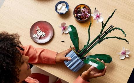 Конструктор LEGO Botanicals Орхідея 608 деталей (10311) - фото 0