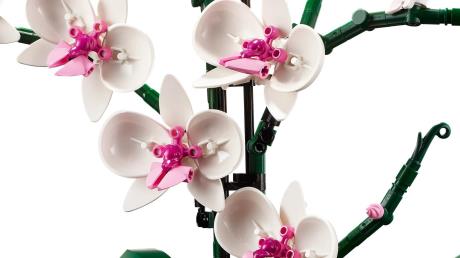 Конструктор LEGO Botanicals Орхідея 608 деталей (10311) - фото 0