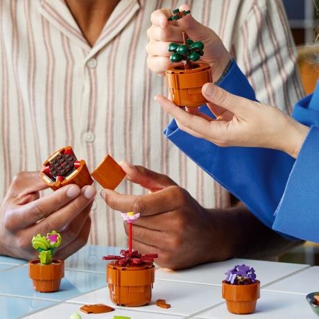 Конструктор LEGO Botanicals Мініатюрні рослини 758 деталей (10329) - фото 10