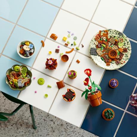 Конструктор LEGO Botanicals Мініатюрні рослини 758 деталей (10329) - фото 11