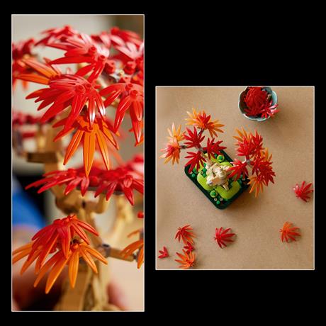 Конструктор LEGO Botanicals Бонсай з японського червоного клена 474 деталі (10348) - фото 12