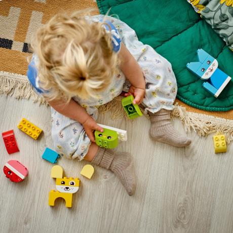Конструктор LEGO DUPLO My First Чарівні творчі домашні улюбленці 3 в 1 24 Деталі ( 10477 ) - фото 7