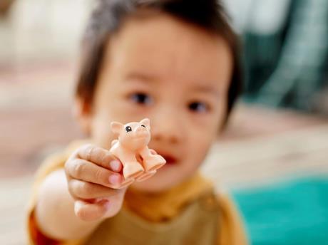 Конструктор LEGO DUPLO Town Догляд за тваринами на фермі 11 деталей (10949) - фото 0