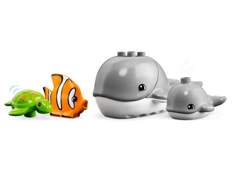 Конструктор LEGO DUPLO Animals  Дикі тварини океану 32 деталі (10972) - фото 0