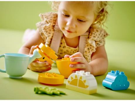 Конструктор LEGO DUPLO My First Морква на грядці 11 деталей (10981) - фото 0