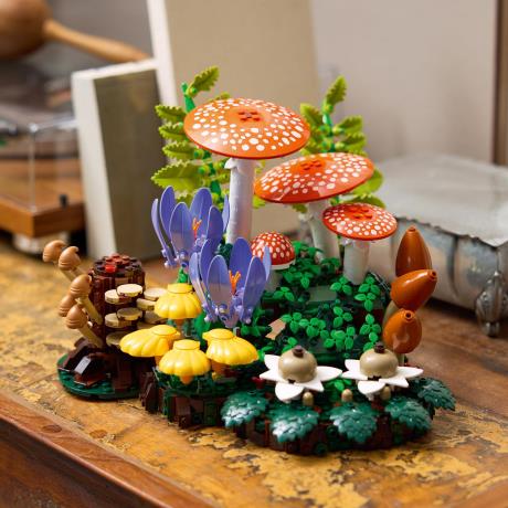 Конструктор LEGO® Botanicals Лісові гриби Набір для конструювання, 806 детал1 (11505) - фото 3