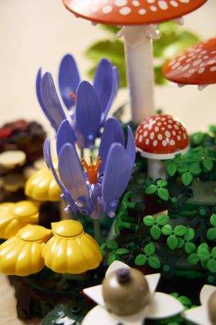 Конструктор LEGO® Botanicals Лісові гриби Набір для конструювання, 806 детал1 (11505) - фото 6