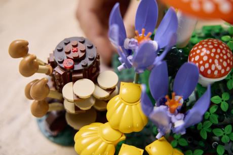 Конструктор LEGO® Botanicals Лісові гриби Набір для конструювання, 806 детал1 (11505) - фото 7