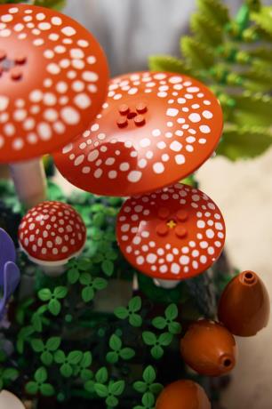 Конструктор LEGO® Botanicals Лісові гриби Набір для конструювання, 806 детал1 (11505) - фото 8
