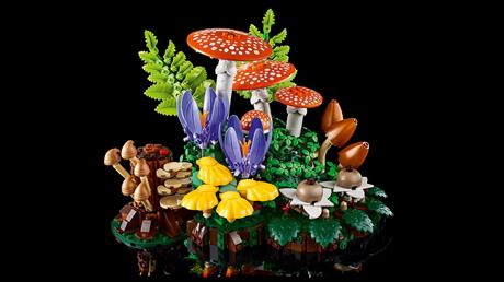 Конструктор LEGO® Botanicals Лесные грибы Набор для конструирования, 806 деталей (11505) - фото 16