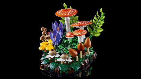 Конструктор LEGO® Botanicals Лесные грибы Набор для конструирования, 806 деталей (11505) - фото 17