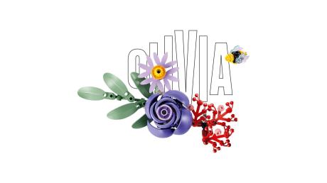 Конструктор LEGO® Botanicals та LEGO® Editions Букет квітів Олівії Родріґо (11507) - фото 17