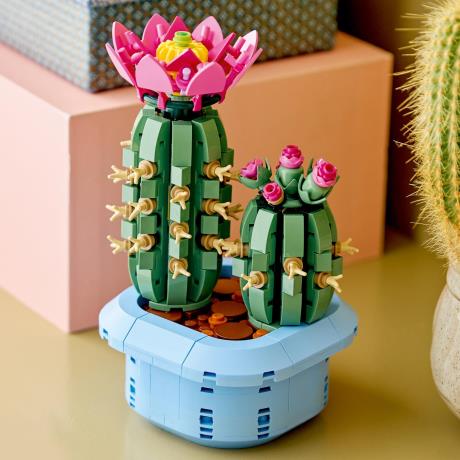 Конструктор LEGO Botanicals Цвітіння кактуса 482 Деталі (11509) - фото 9
