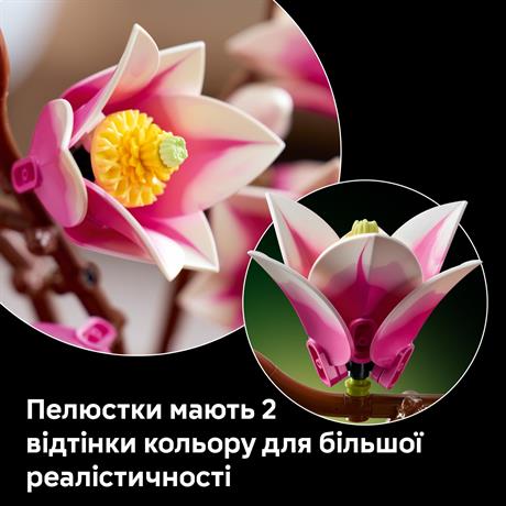Конструктор LEGO® Botanicals Гілки магнолії 435 Деталей  (11510) - фото 6