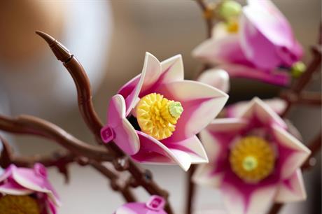 Конструктор LEGO® Botanicals Гілки магнолії 435 Деталей  (11510) - фото 17