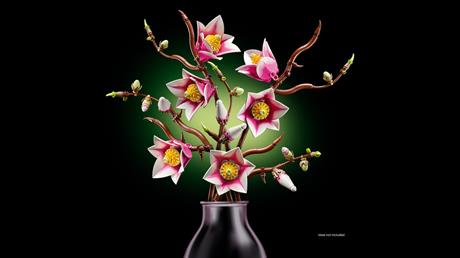 Конструктор LEGO® Botanicals Гілки магнолії 435 Деталей  (11510) - фото 22