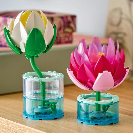 Конструктор LEGO® Botanicals Латаття Квітковий набір для конструювання, 259 деталей (11511) - фото 16