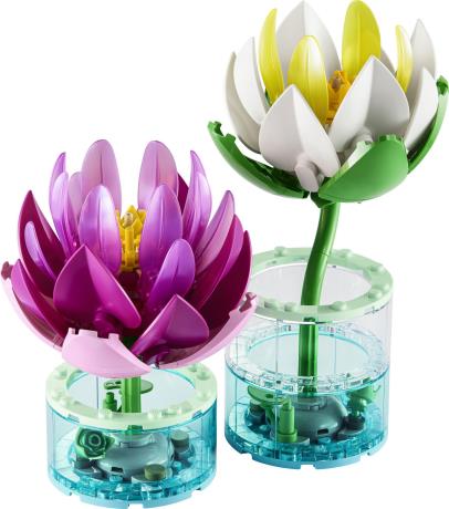 Конструктор LEGO® Botanicals Латаття Квітковий набір для конструювання, 259 деталей (11511) - фото 17