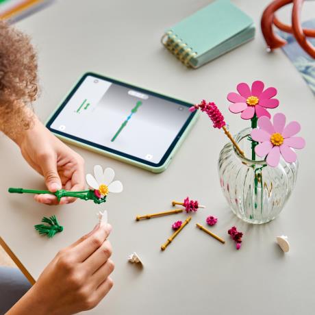 Конструктор LEGO® Botanicals Квіти космеї Набір для коструювання, 171 деталь (11514) - фото 11