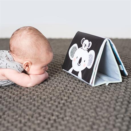 Розвивальна книжка Taf Toys Мрійливі коали Пригоди коали Кіммі (12395) - фото 3