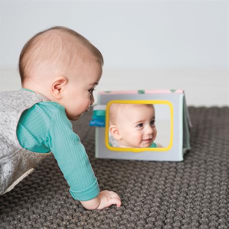 Розвивальна книжка Taf Toys Мрійливі коали Пригоди коали Кіммі (12395) - фото 4