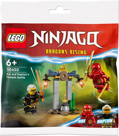 Конструктор LEGO NINJAGO Битва за Храм Кая і Раптона 47 деталей (30650) - фото 0