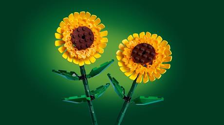 Конструктор LEGO Botanicals Подсолнечники 191 Деталь  ( 40524 ) - фото 9