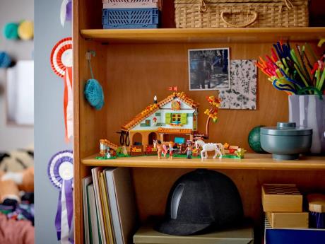 Конструктор LEGO Friends Стайня Отом 545 деталей (41745) - фото 0