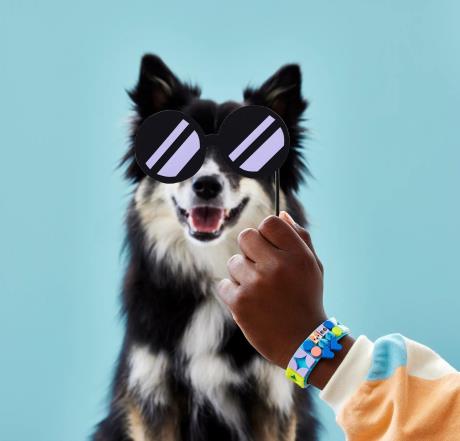 Конструктор LEGO DOTS Браслет Мої домашні улюбленці 37 деталі (41801) - фото 0