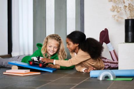 Конструктор LEGO Technic Monster Jam Monster Mutt Dalmatian 244 деталі (42150) - фото 0