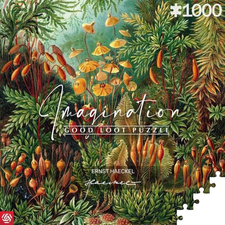 Пазл GoodLoot Imagination Ернст Геккель Рослинність 1000 ел. (5908305239642) - фото 0