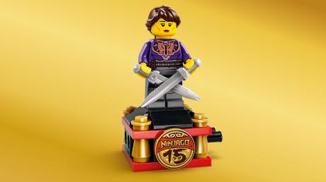 Конструктор LEGO® NINJAGO® Переслідувач ніндзя X-1 — 15-та річниця, 691 деталь (71867) - фото 10