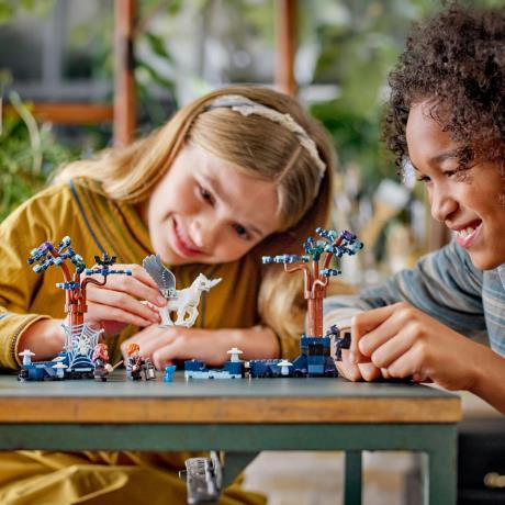 Конструктор LEGO Harry Potter Заборонений ліс чарівні істоти 172 деталі (76432) - фото 8