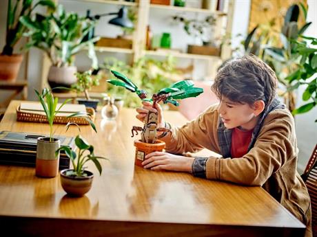 Конструктор LEGO Harry Potter Корінь мандрагори 579 деталей (76433) - фото 0