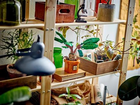 Конструктор LEGO Harry Potter Корінь мандрагори 579 деталей (76433) - фото 0